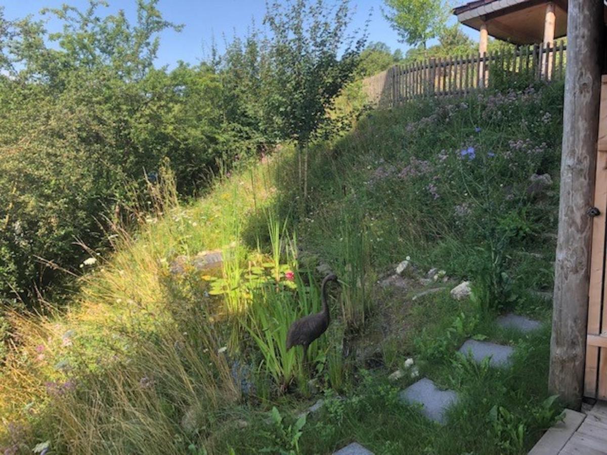 Haus Leenja Beverungen Buitenkant foto