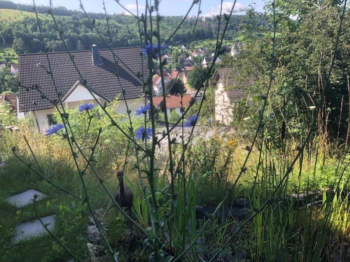 Haus Leenja Beverungen Buitenkant foto